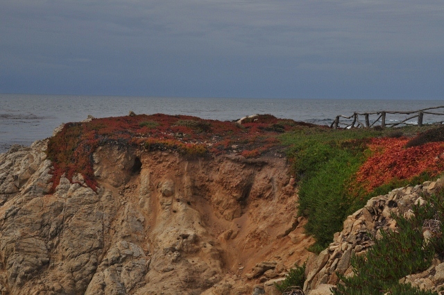 Cypress Point